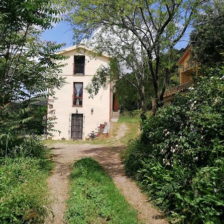 La Peonia Casa Vacanze In Montagna Prato Verde Panorama Stupendo Sardegna Seùlo Exteriör bild