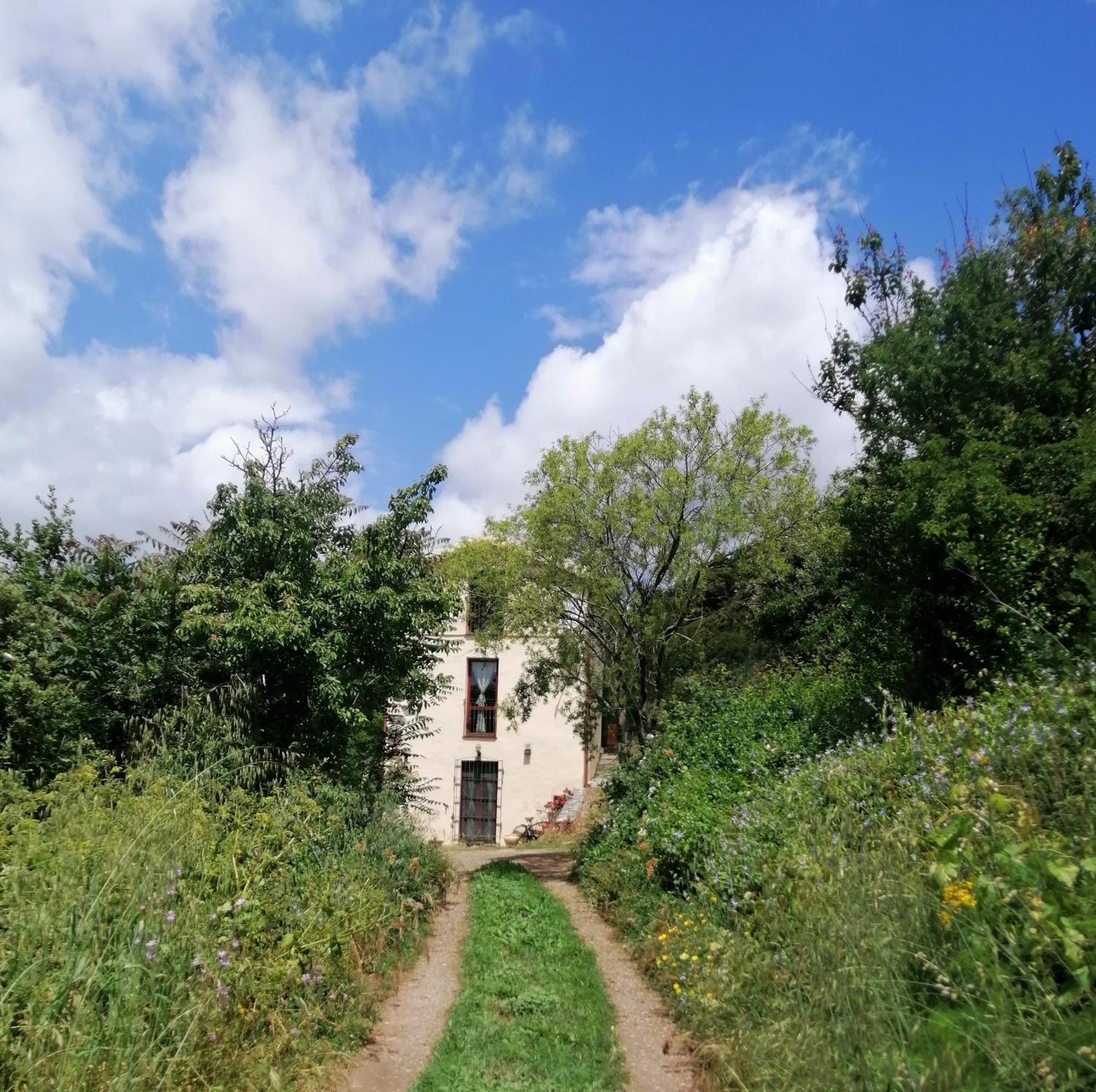 La Peonia Casa Vacanze In Montagna Prato Verde Panorama Stupendo Sardegna Seùlo Exteriör bild