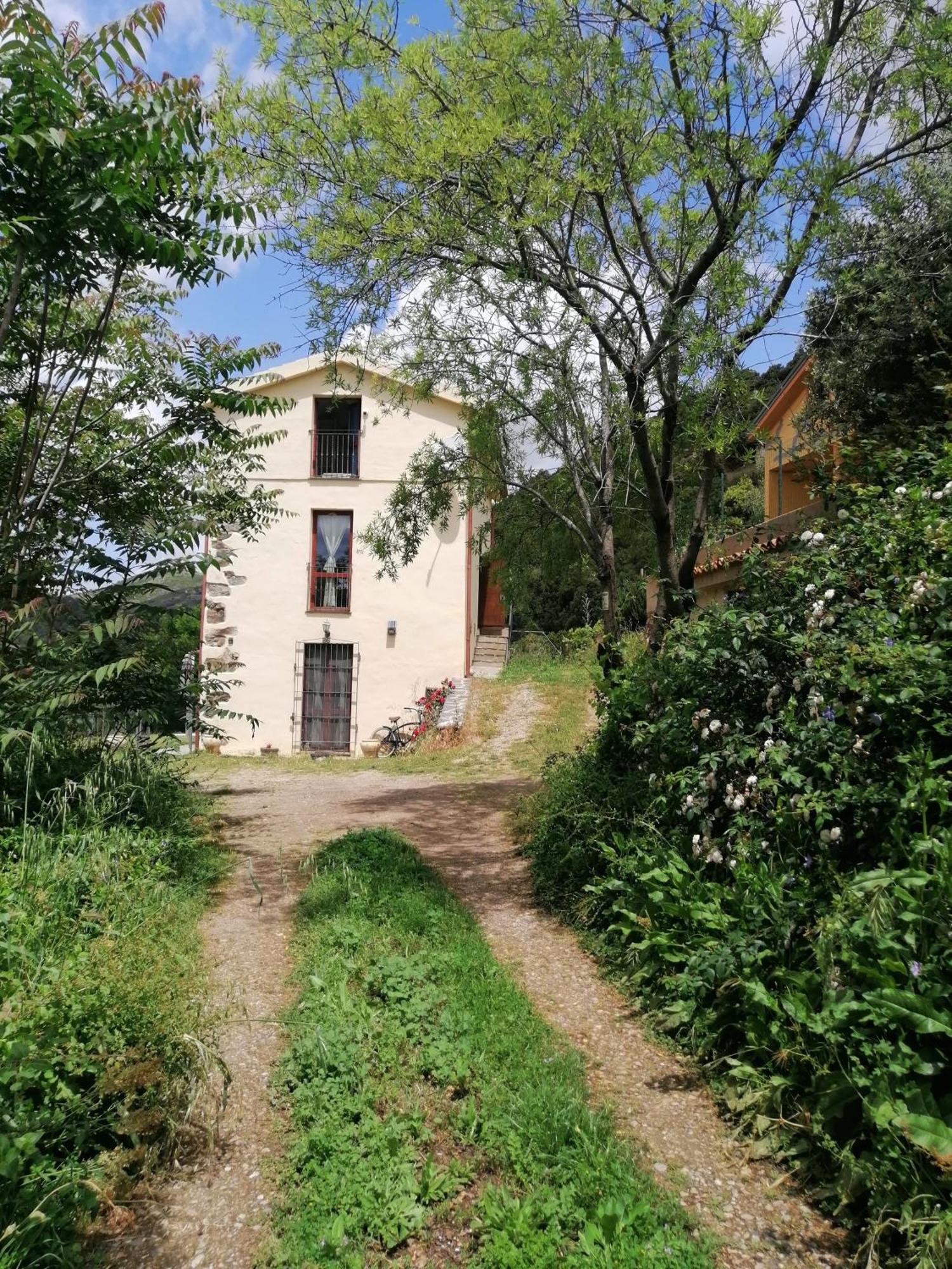 La Peonia Casa Vacanze In Montagna Prato Verde Panorama Stupendo Sardegna Seùlo Exteriör bild
