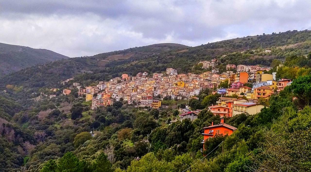 La Peonia Casa Vacanze In Montagna Prato Verde Panorama Stupendo Sardegna Seùlo Exteriör bild