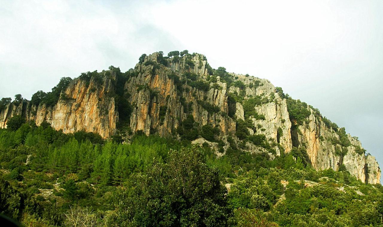 La Peonia Casa Vacanze In Montagna Prato Verde Panorama Stupendo Sardegna Seùlo Exteriör bild