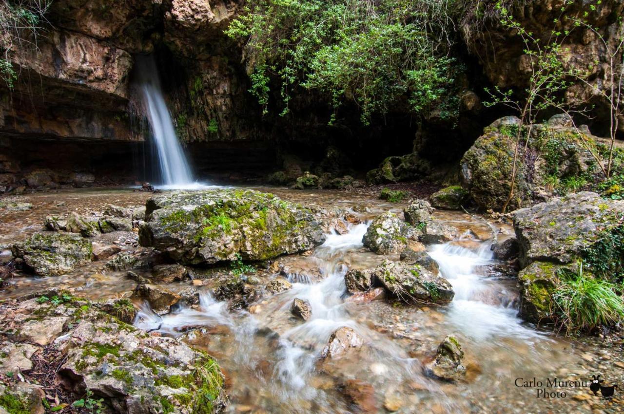La Peonia Casa Vacanze In Montagna Prato Verde Panorama Stupendo Sardegna Seùlo Exteriör bild