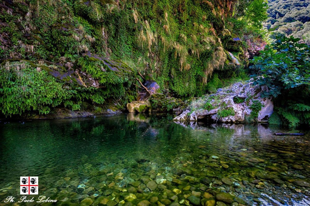 La Peonia Casa Vacanze In Montagna Prato Verde Panorama Stupendo Sardegna Seùlo Exteriör bild